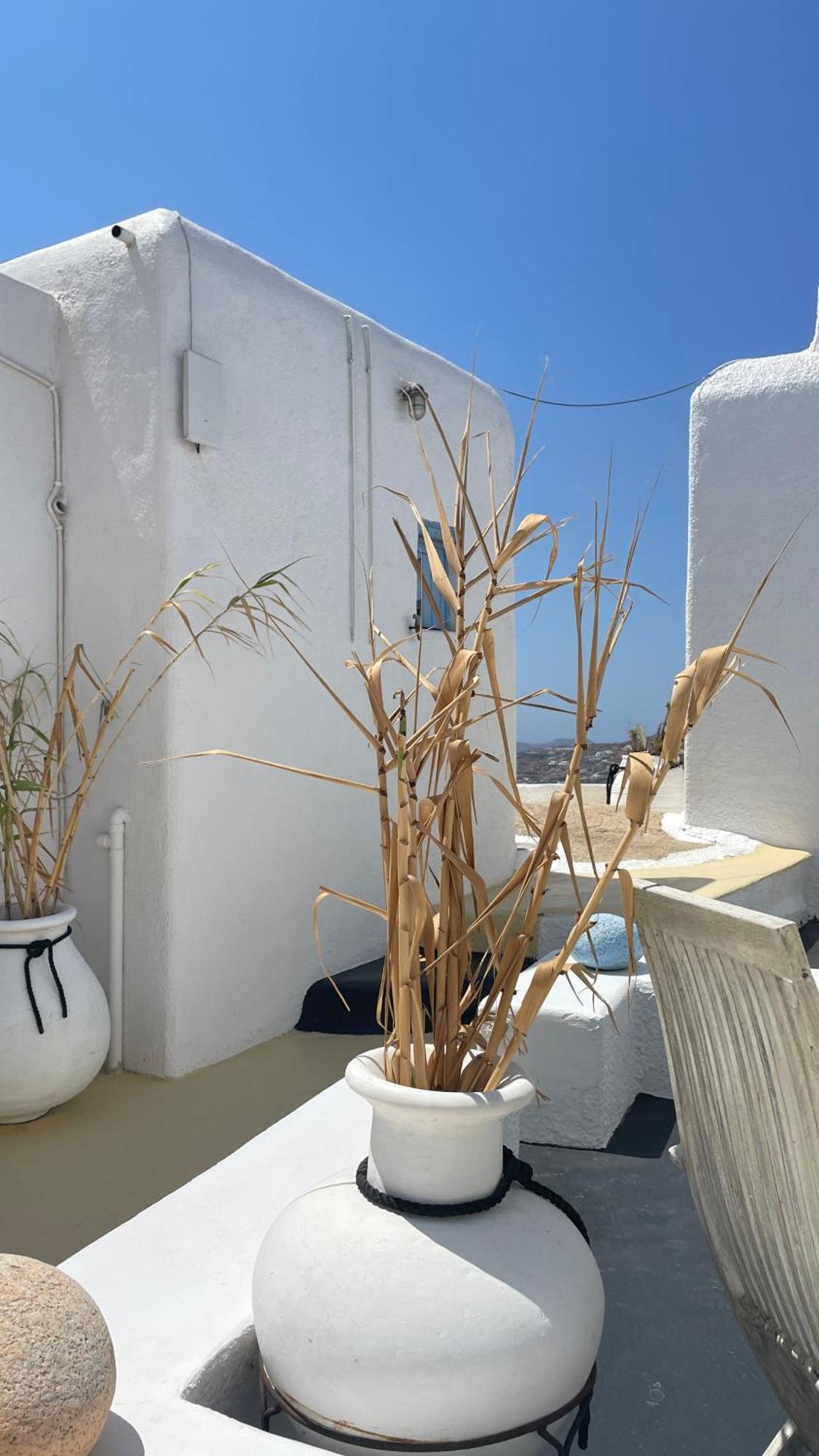 Vougli View Mykonos Hotell Drafaki Exteriör bild